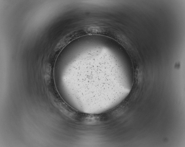 X0000113200760200909241358