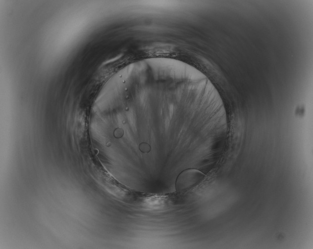 X0000113200761200909241358