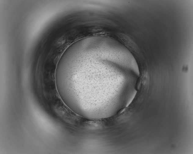 X0000113200763200909241358