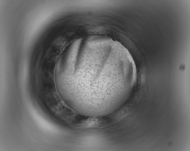 X0000113200764200909241358