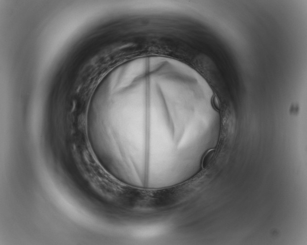 X0000113200765200909241358