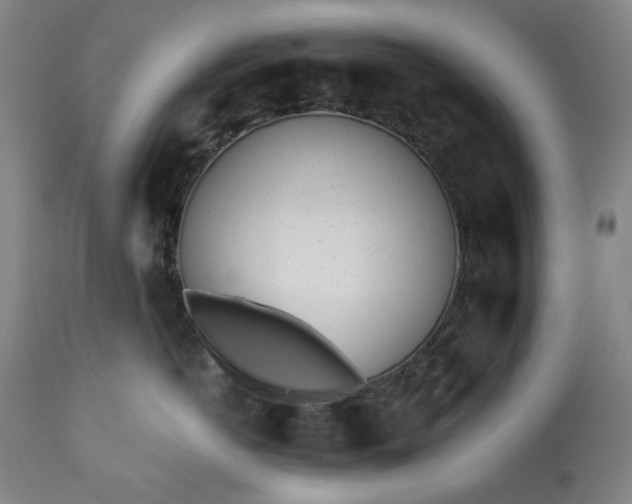 X0000113200766200909241358