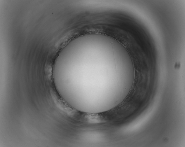 X0000113200767200909241358