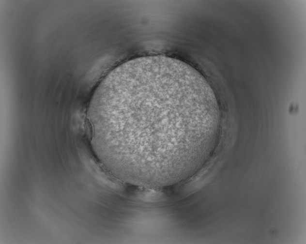 X0000113200768200909241358