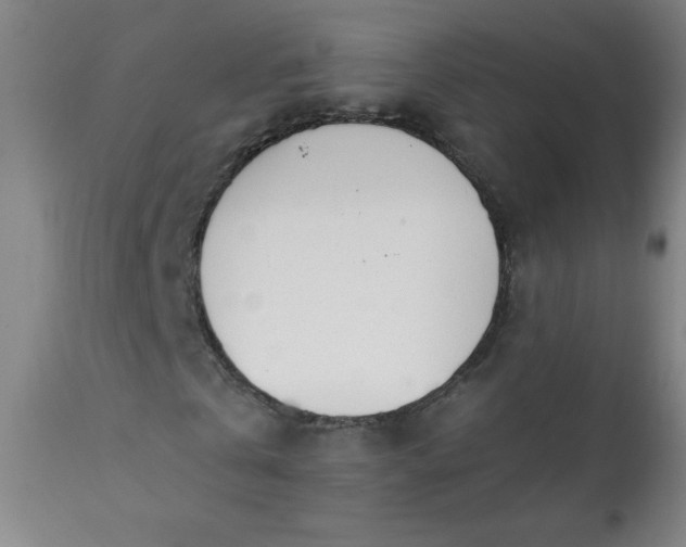 X0000113200769200909241357