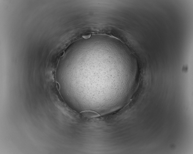 X0000113200770200909241357