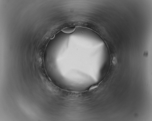 X0000113200771200909241357