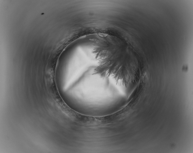 X0000113200772200909241357