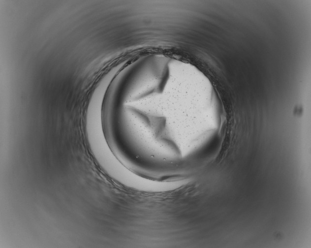 X0000113200773200909241357