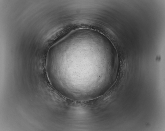 X0000113200774200909241357