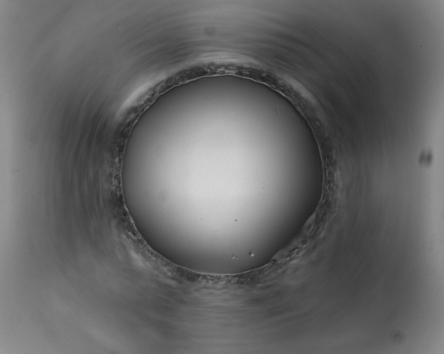 X0000113200775200909241357