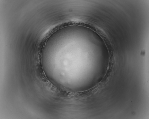 X0000113200776200909241357