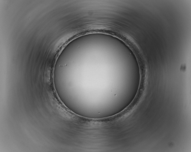 X0000113200777200909241357