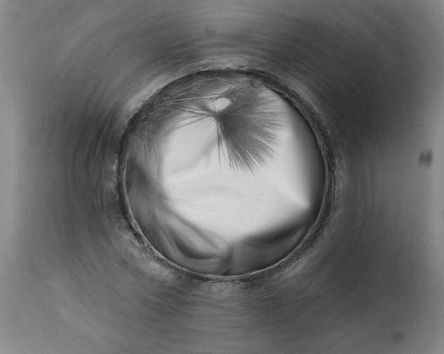 X0000113200778200909241357