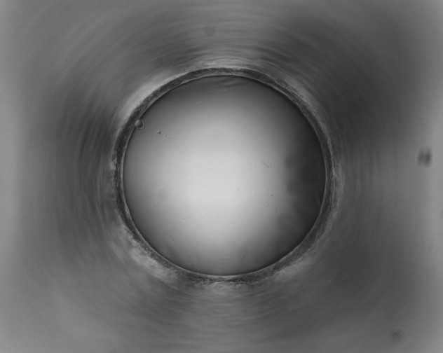 X0000113200779200909241357