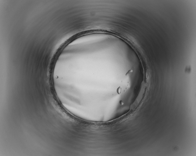 X0000113200780200909241357