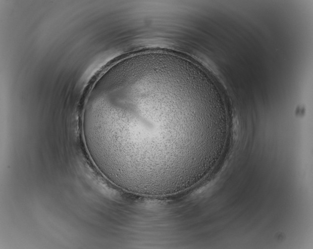 X0000113200782200909241357