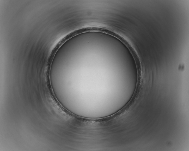 X0000113200783200909241357