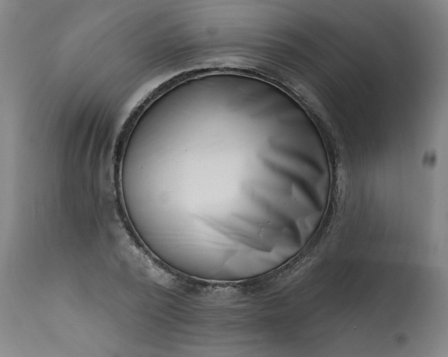 X0000113200784200909241357