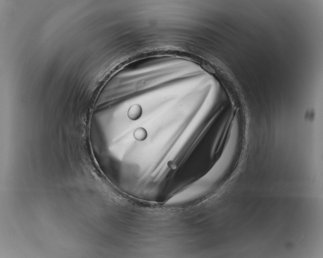 X0000113200785200909241357