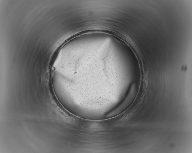 X0000113200787200909241357