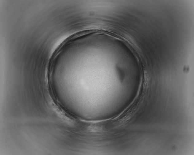 X0000113200788200909241357