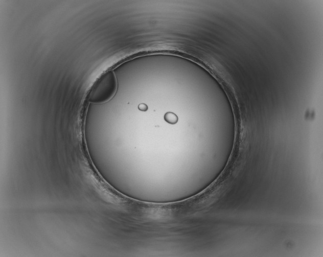 X0000113200789200909241357