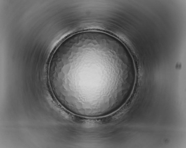 X0000113200790200909241357