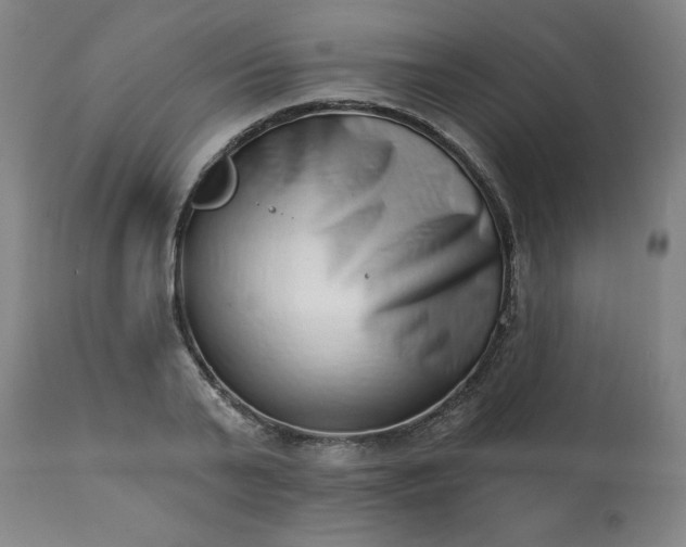 X0000113200791200909241357