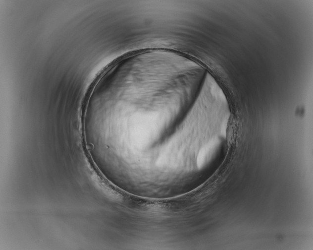 X0000113200792200909241357