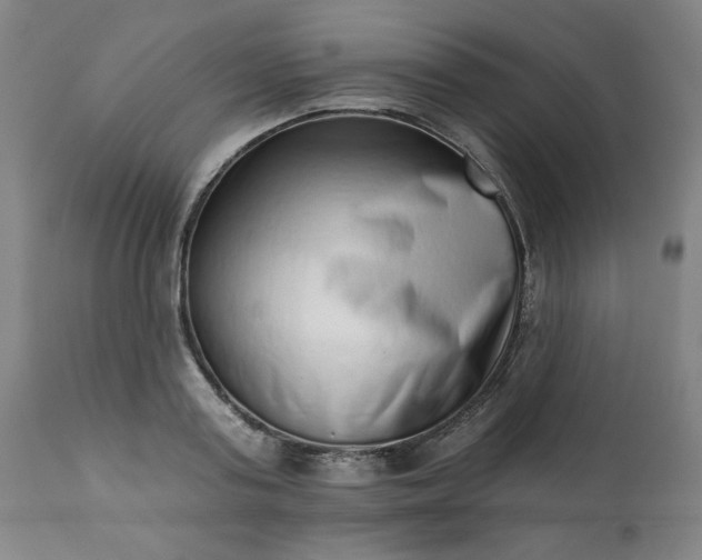 X0000113200795200909241357