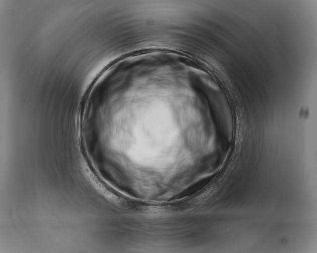 X0000113200796200909241357