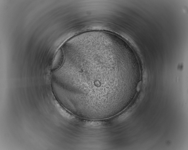 X0000113200801200909241357