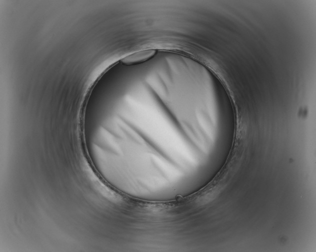 X0000113200803200909241357