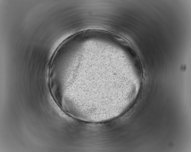 X0000113200804200909241357