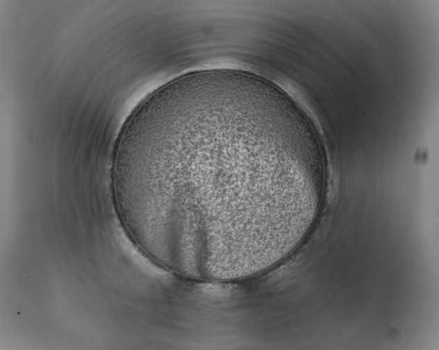 X0000113200805200909241357