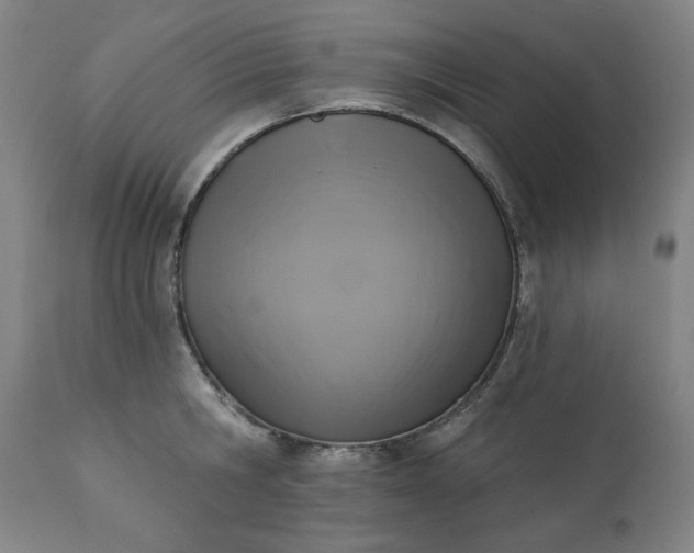 X0000113200806200909241357