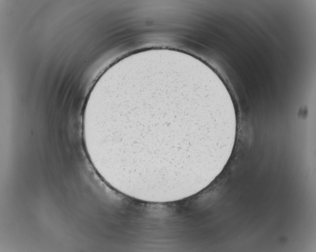 X0000113200807200909241357