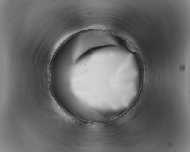 X0000113200808200909241357