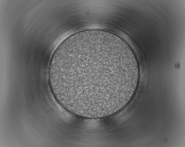 X0000113200810200909241357