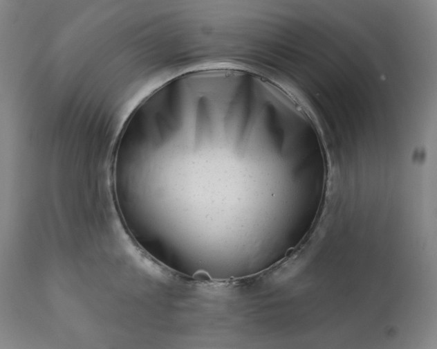 X0000113200813200909241357