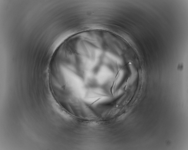 X0000113200814200909241357