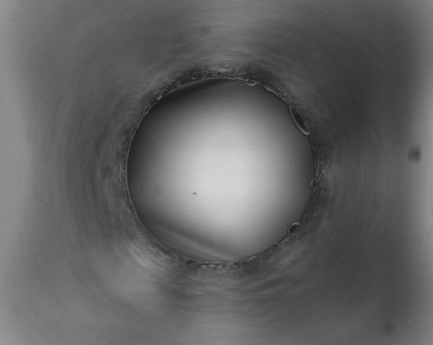 X0000113200817200909241356