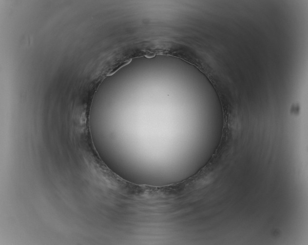 X0000113200818200909241356