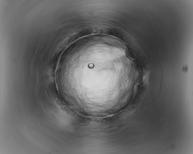 X0000113200819200909241356