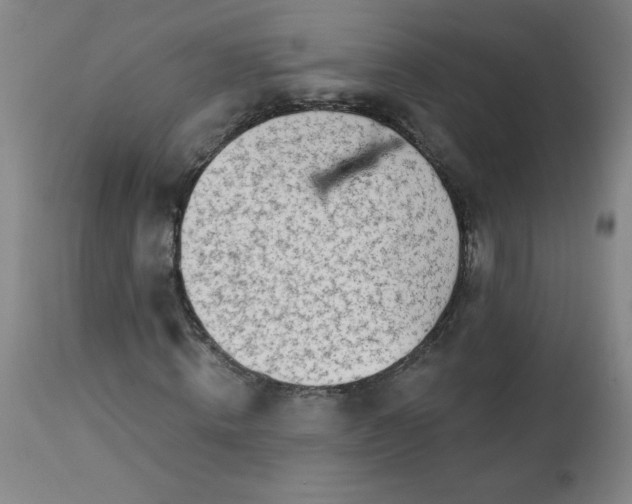 X0000113200820200909241356