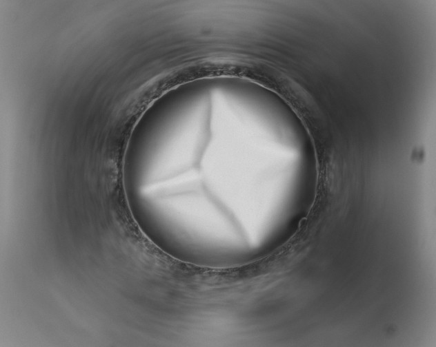 X0000113200821200909241356