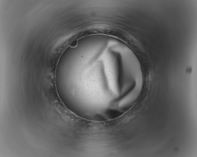 X0000113200822200909241356