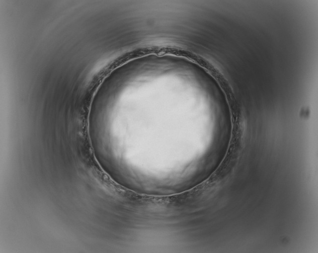 X0000113200823200909241356