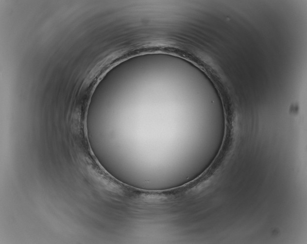 X0000113200825200909241356